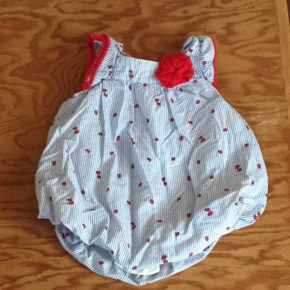 12 Month Ladybug Baby Essentials Onesie